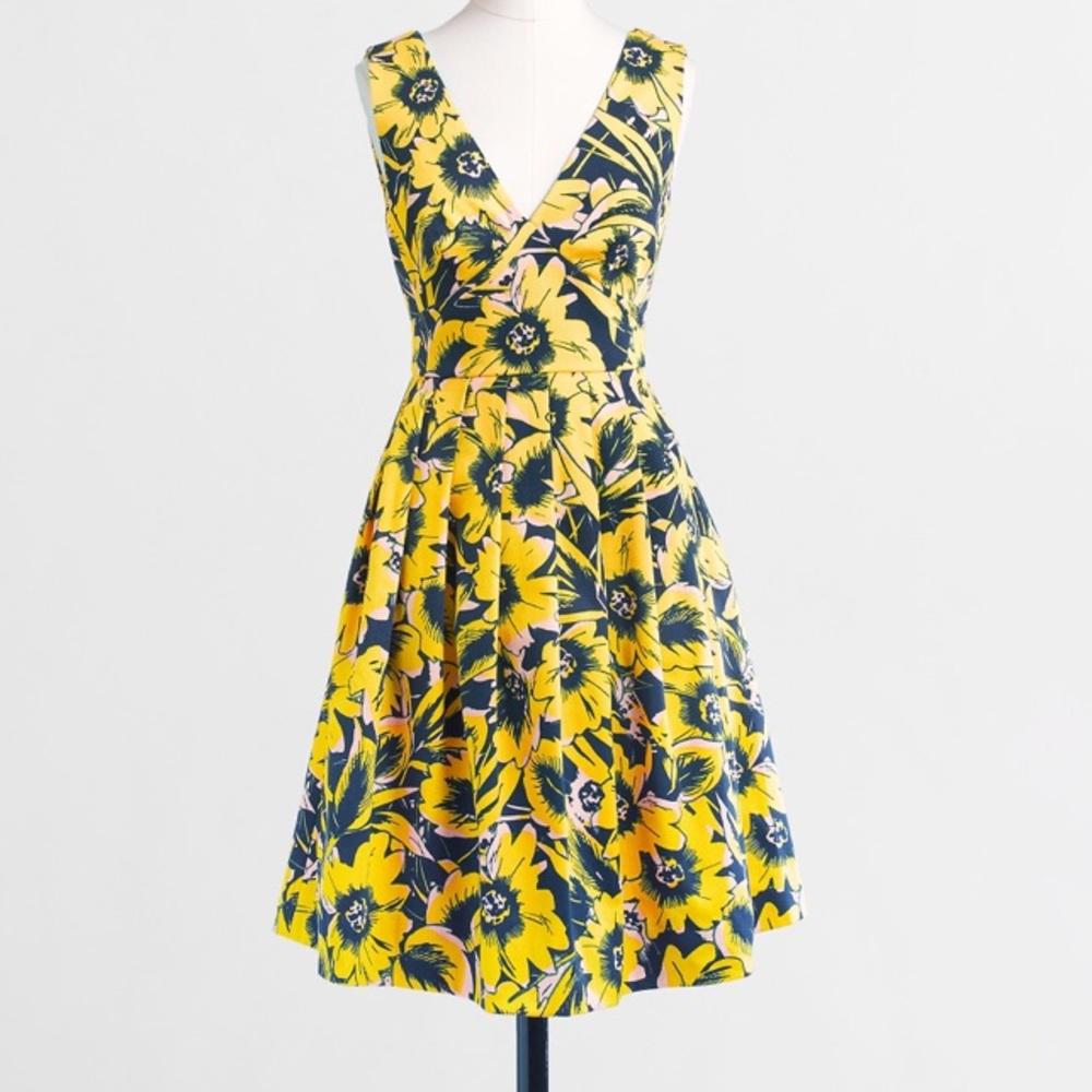 NWOT Jcrew dress